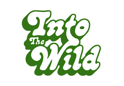 Into The Wild (ȥ  磻)